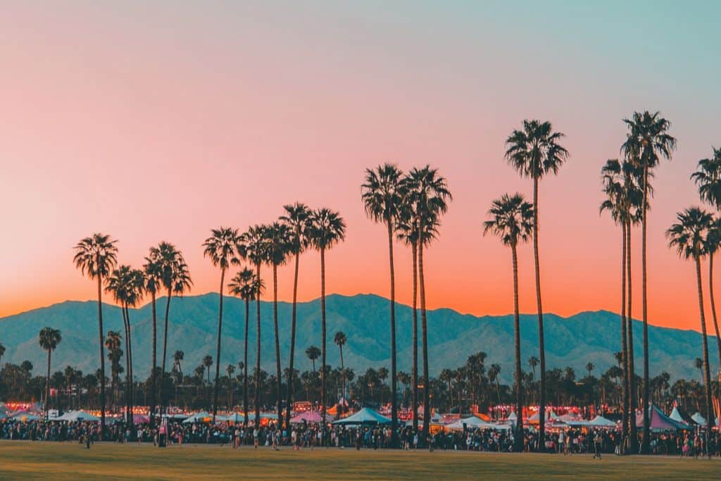 paysage coachella valley festival arbre montagne soleil couchant
