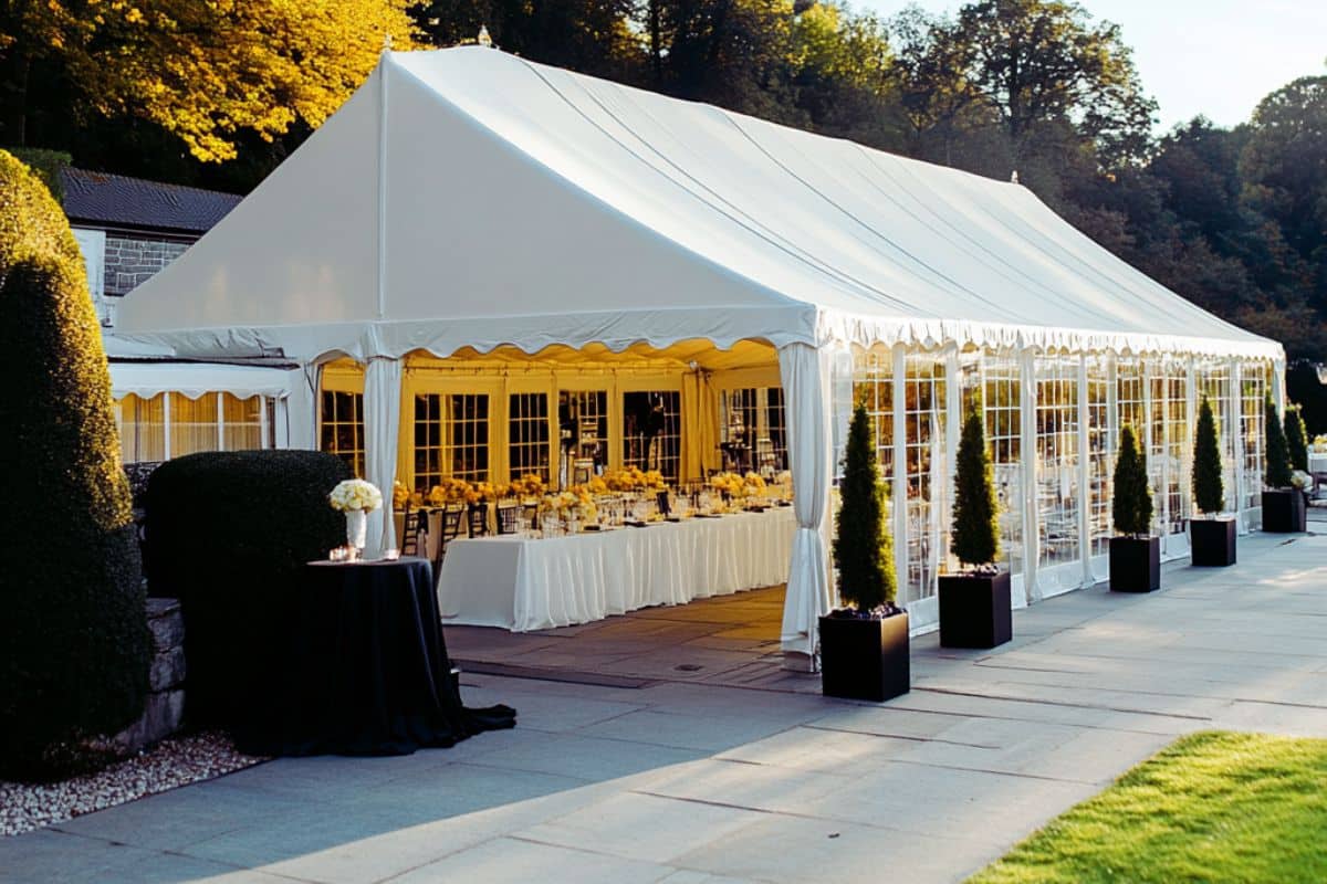 grand barnum professionnel sol béton cour intérieur jardin tonnelle