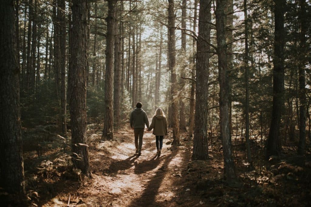 Séance photo de couple en pleine nature, balade main dans la main dans une forêt.